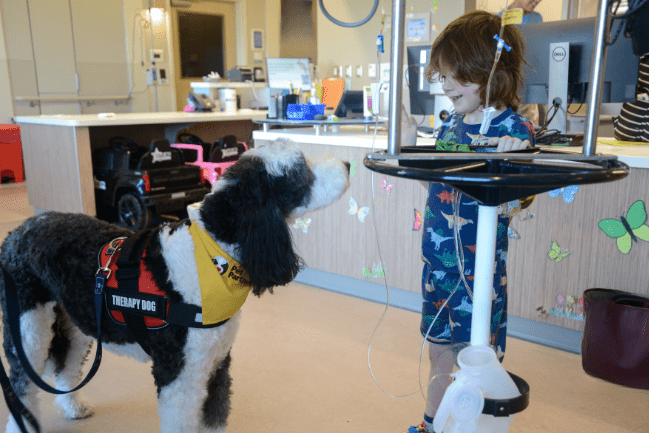 Smiling patient with pet therapy dog, Bodie